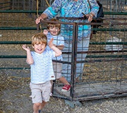 Ben Kleppinger/ben.kleppinger@amnews.comTwins Nick (front) and Charlie Little, 3, play in a sheep pen while visiting the sheep show with their grandmother, Lana Little. "They love sheep," Lana said.