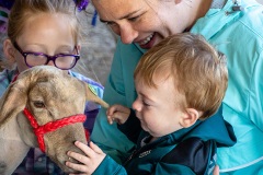 Ben Kleppinger/ben.kleppinger@amnews.comSarah Schommer helps her 1-year-old son, Brooks, pet a sheep.