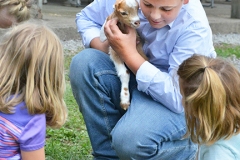 Grant Holman, 10, of Perryville, holds his friend's orphaned kid as other children gather around. Holman was showing his goats at the Boyle County Fair Wednesday night.