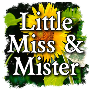 Little Miss & Mister Pageant